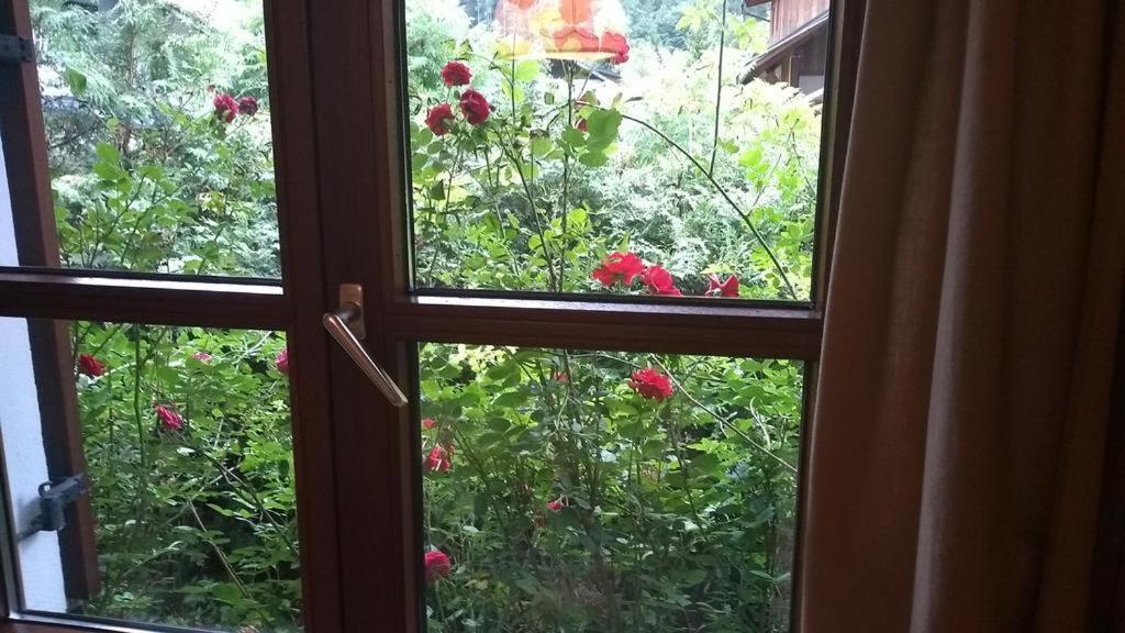 Apartment Sophia - Hallstatt Ngoại thất bức ảnh